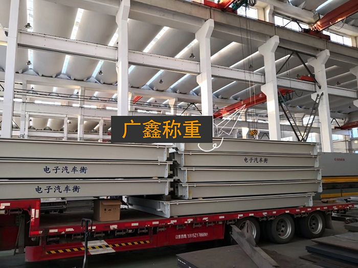 91视频免费黄色